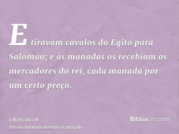 E tiravam cavalos do Egito para Salomão; e às manadas os recebiam os mercadores do rei, cada manada por um certo preço.
