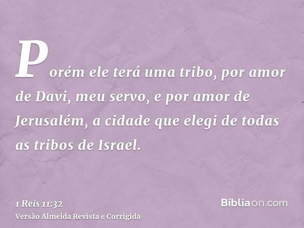 Porém ele terá uma tribo, por amor de Davi, meu servo, e por amor de Jerusalém, a cidade que elegi de todas as tribos de Israel.
