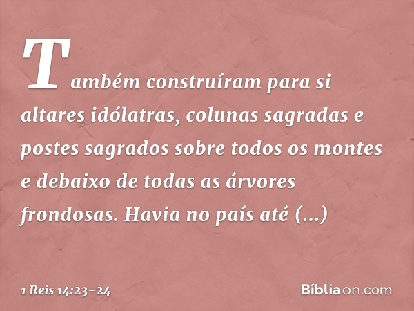 Também construíram para si altares idólatras, colunas sagradas e postes sagrados sobre todos os montes e debaixo de todas as árvores frondosas. Havia no país at