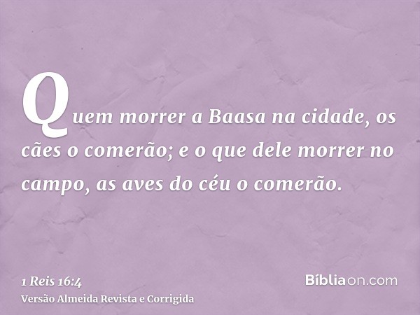 Quem morrer a Baasa na cidade, os cães o comerão; e o que dele morrer no campo, as aves do céu o comerão.
