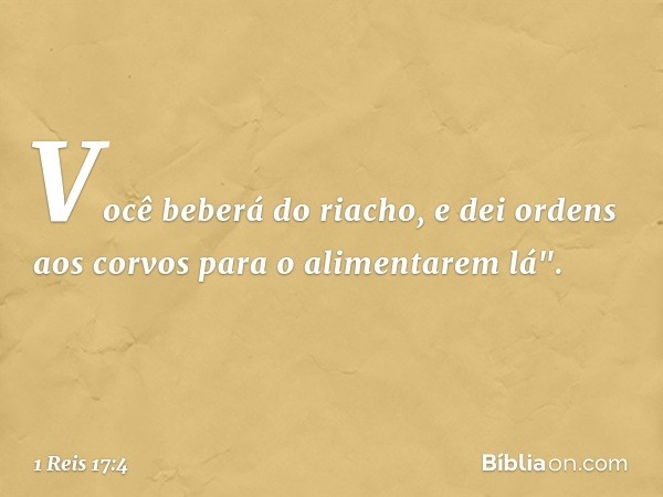 Você beberá do riacho, e dei ordens aos corvos para o alimentarem lá". -- 1 Reis 17:4