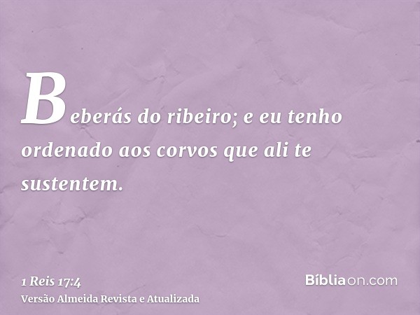 Beberás do ribeiro; e eu tenho ordenado aos corvos que ali te sustentem.