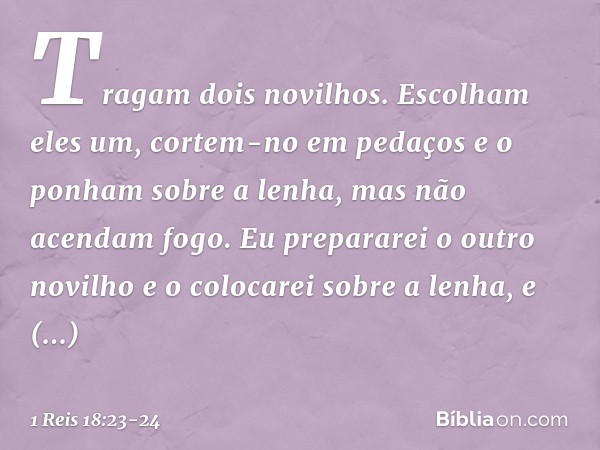 Tragam dois novilhos. Escolham eles um, cortem-no em pedaços e o ponham sobre a lenha, mas não acendam fogo. Eu prepararei o outro novilho e o colocarei sobre a