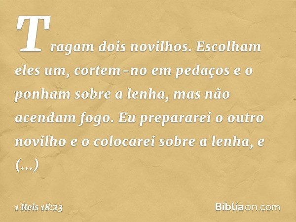 Tragam dois novilhos. Escolham eles um, cortem-no em pedaços e o ponham sobre a lenha, mas não acendam fogo. Eu prepararei o outro novilho e o colocarei sobre a