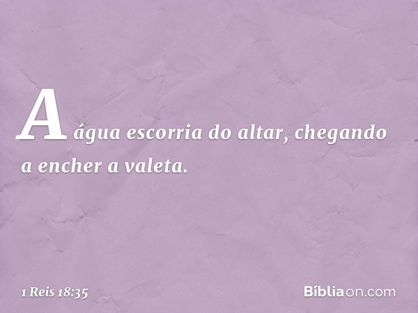 A água escorria do altar, chegando a encher a valeta. -- 1 Reis 18:35