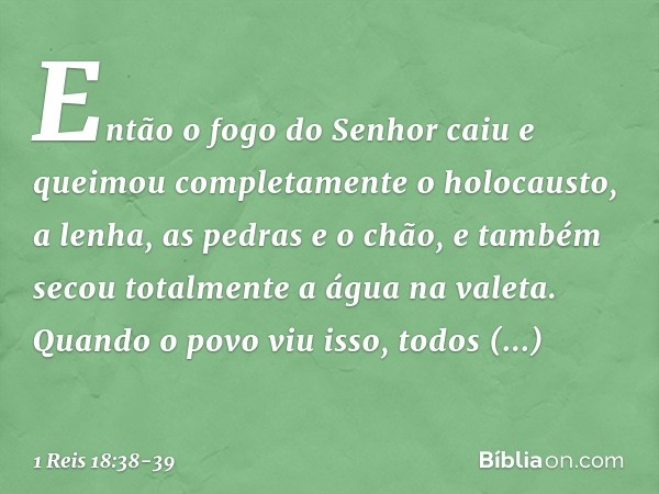 Então o fogo do Senhor caiu e queimou completamente o holocausto, a lenha, as pedras e o chão, e também secou totalmente a água na valeta. Quando o povo viu iss