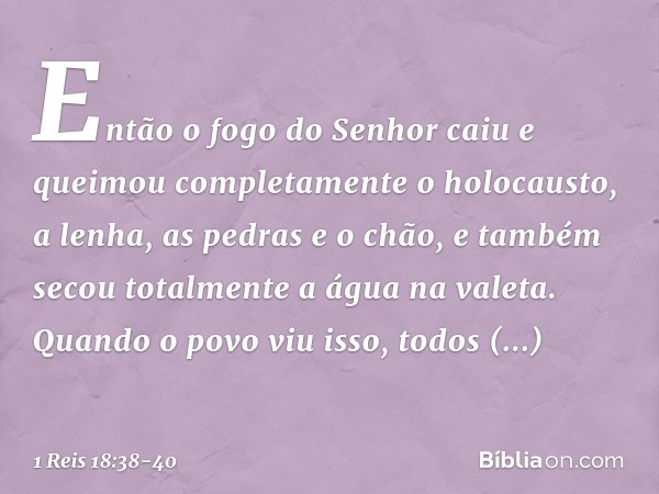 Então o fogo do Senhor caiu e queimou completamente o holocausto, a lenha, as pedras e o chão, e também secou totalmente a água na valeta. Quando o povo viu iss