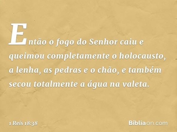 Então o fogo do Senhor caiu e queimou completamente o holocausto, a lenha, as pedras e o chão, e também secou totalmente a água na valeta. -- 1 Reis 18:38