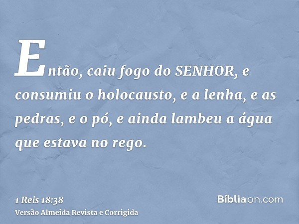 Então, caiu fogo do SENHOR, e consumiu o holocausto, e a lenha, e as pedras, e o pó, e ainda lambeu a água que estava no rego.