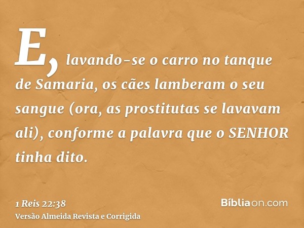 E, lavando-se o carro no tanque de Samaria, os cães lamberam o seu sangue (ora, as prostitutas se lavavam ali), conforme a palavra que o SENHOR tinha dito.