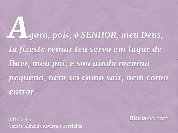 Agora, pois, ó SENHOR, meu Deus, tu fizeste reinar teu servo em lugar de Davi, meu pai; e sou ainda menino pequeno, nem sei como sair, nem como entrar.