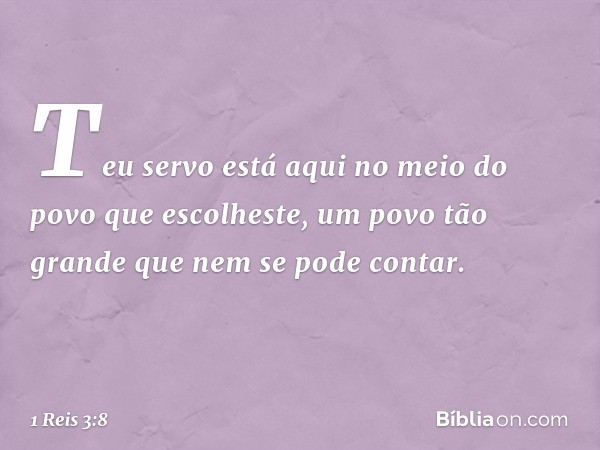 Teu servo está aqui no meio do povo que escolheste, um povo tão grande que nem se pode contar. -- 1 Reis 3:8