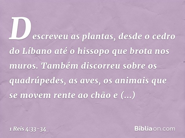 Descreveu as plantas, desde o cedro do Líbano até o hissopo que brota nos muros. Também discorreu sobre os quadrúpedes, as aves, os animais que se movem rente a