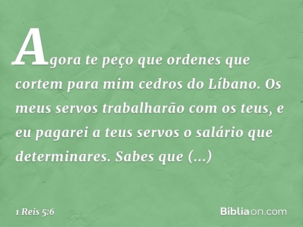 "Agora te peço que ordenes que cortem para mim cedros do Líbano. Os meus servos trabalharão com os teus, e eu pagarei a teus servos o salário que determinares. 