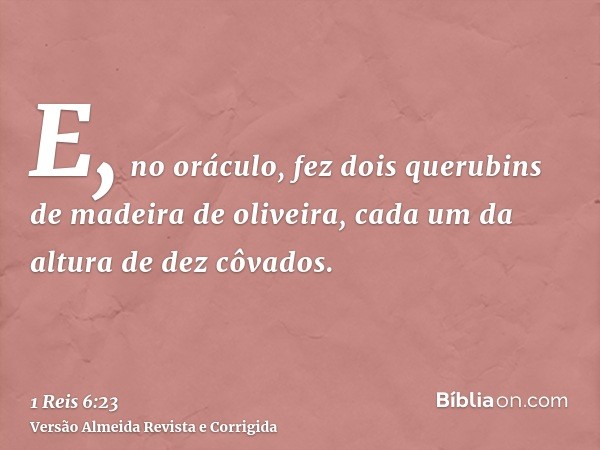 E, no oráculo, fez dois querubins de madeira de oliveira, cada um da altura de dez côvados.
