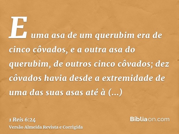 E uma asa de um querubim era de cinco côvados, e a outra asa do querubim, de outros cinco côvados; dez côvados havia desde a extremidade de uma das suas asas at