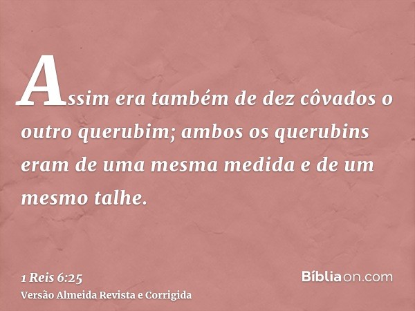 Assim era também de dez côvados o outro querubim; ambos os querubins eram de uma mesma medida e de um mesmo talhe.
