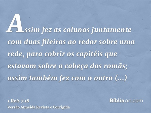 Assim fez as colunas juntamente com duas fileiras ao redor sobre uma rede, para cobrir os capitéis que estavam sobre a cabeça das romãs; assim também fez com o 