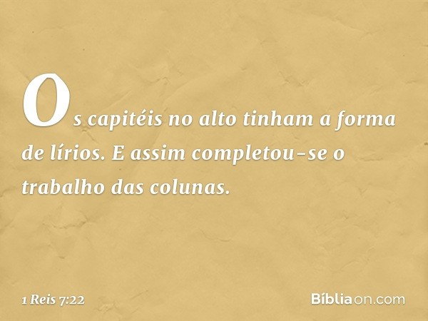 Os capitéis no alto tinham a forma de lírios. E assim completou-se o trabalho das colunas. -- 1 Reis 7:22