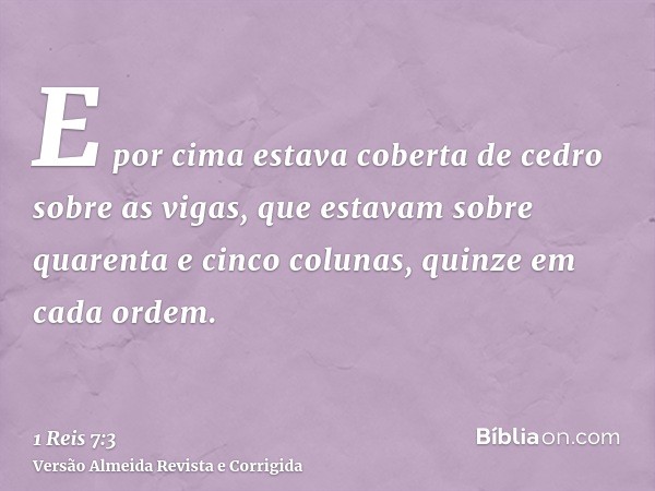 E por cima estava coberta de cedro sobre as vigas, que estavam sobre quarenta e cinco colunas, quinze em cada ordem.