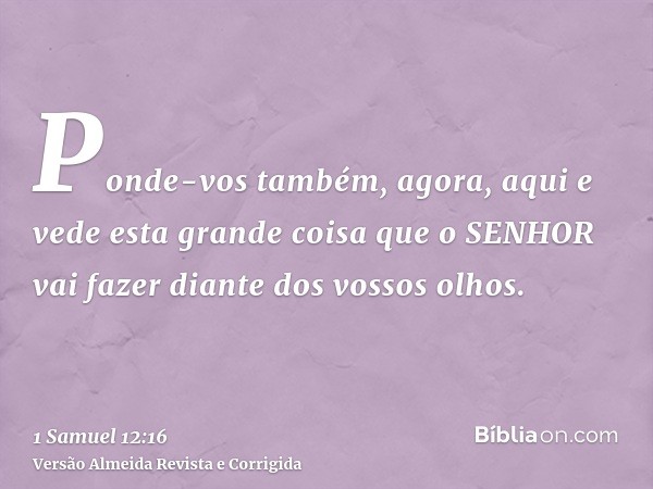 Ponde-vos também, agora, aqui e vede esta grande coisa que o SENHOR vai fazer diante dos vossos olhos.
