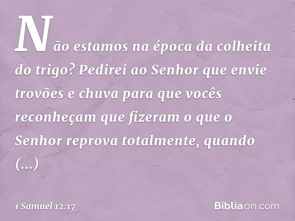 Não estamos na época da colheita do trigo? Pedirei ao Senhor que envie trovões e chuva para que vocês reconheçam que fizeram o que o Senhor reprova totalmente, 