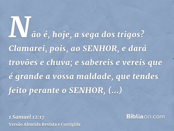 Não é, hoje, a sega dos trigos? Clamarei, pois, ao SENHOR, e dará trovões e chuva; e sabereis e vereis que é grande a vossa maldade, que tendes feito perante o 