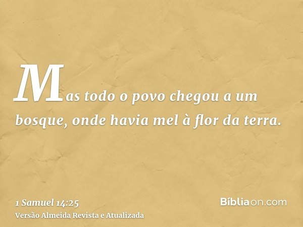 Mas todo o povo chegou a um bosque, onde havia mel à flor da terra.