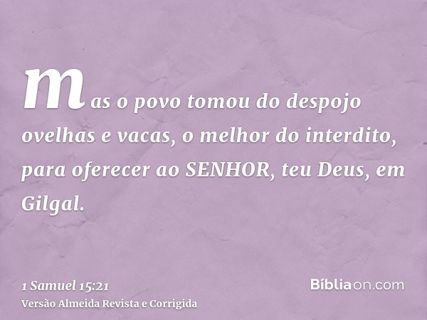 mas o povo tomou do despojo ovelhas e vacas, o melhor do interdito, para oferecer ao SENHOR, teu Deus, em Gilgal.