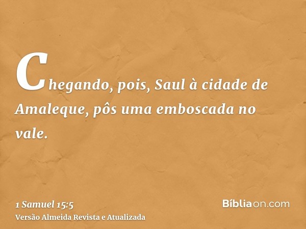 Chegando, pois, Saul à cidade de Amaleque, pôs uma emboscada no vale.