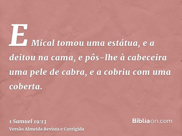 E Mical tomou uma estátua, e a deitou na cama, e pôs-lhe à cabeceira uma pele de cabra, e a cobriu com uma coberta.