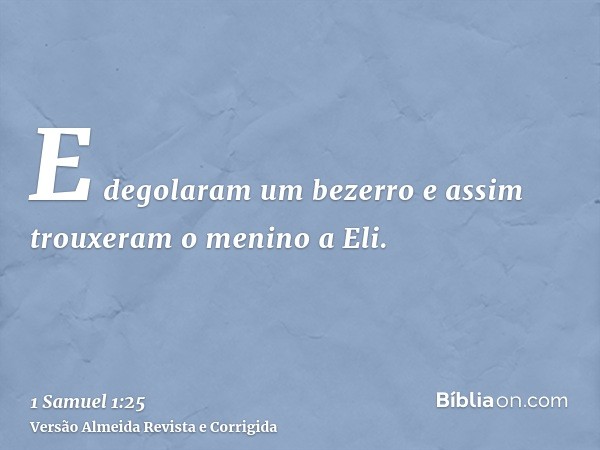 E degolaram um bezerro e assim trouxeram o menino a Eli.