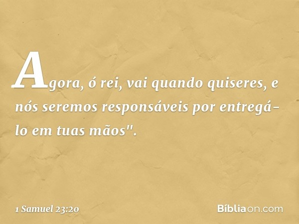 Agora, ó rei, vai quando quiseres, e nós seremos responsáveis por entregá-lo em tuas mãos". -- 1 Samuel 23:20