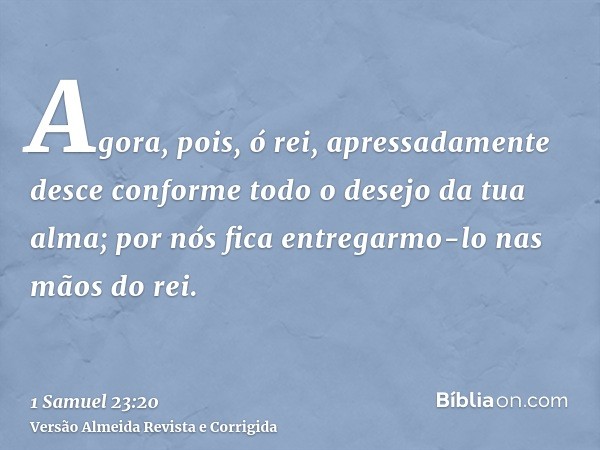 Agora, pois, ó rei, apressadamente desce conforme todo o desejo da tua alma; por nós fica entregarmo-lo nas mãos do rei.