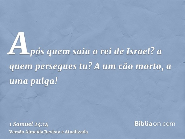 Após quem saiu o rei de Israel? a quem persegues tu? A um cão morto, a uma pulga!