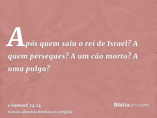 Após quem saiu o rei de Israel? A quem persegues? A um cão morto? A uma pulga?