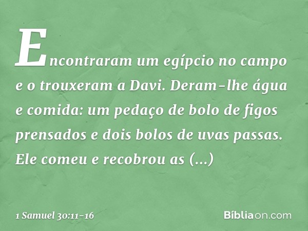 Encontraram um egípcio no campo e o trouxeram a Davi. Deram-lhe água e comida: um pedaço de bolo de figos prensados e dois bolos de uvas passas. Ele comeu e rec