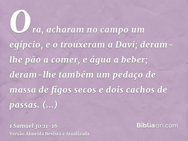 Ora, acharam no campo um egípcio, e o trouxeram a Davi; deram-lhe pão a comer, e água a beber;deram-lhe também um pedaço de massa de figos secos e dois cachos d