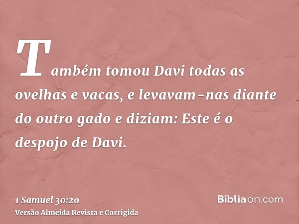 Também tomou Davi todas as ovelhas e vacas, e levavam-nas diante do outro gado e diziam: Este é o despojo de Davi.
