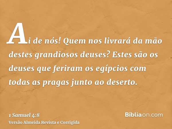 Ai de nós! Quem nos livrará da mão destes grandiosos deuses? Estes são os deuses que feriram os egípcios com todas as pragas junto ao deserto.