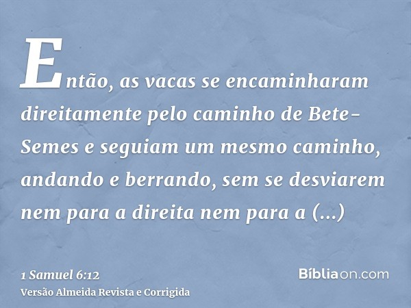 Então, as vacas se encaminharam direitamente pelo caminho de Bete-Semes e seguiam um mesmo caminho, andando e berrando, sem se desviarem nem para a direita nem 