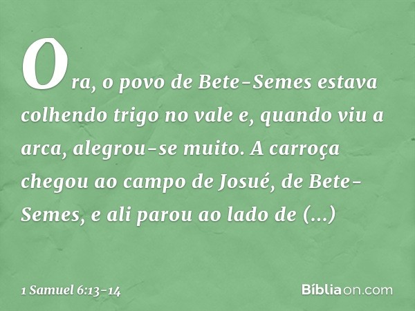 Ora, o povo de Bete-Semes estava colhendo trigo no vale e, quando viu a arca, alegrou-se muito. A carroça chegou ao campo de Josué, de Bete-Semes, e ali parou a