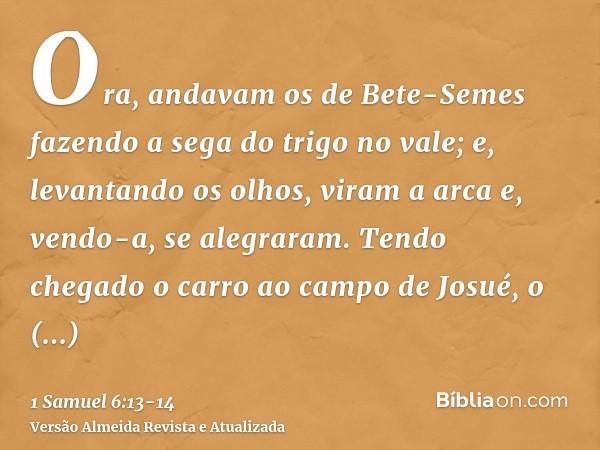 Ora, andavam os de Bete-Semes fazendo a sega do trigo no vale; e, levantando os olhos, viram a arca e, vendo-a, se alegraram.Tendo chegado o carro ao campo de J