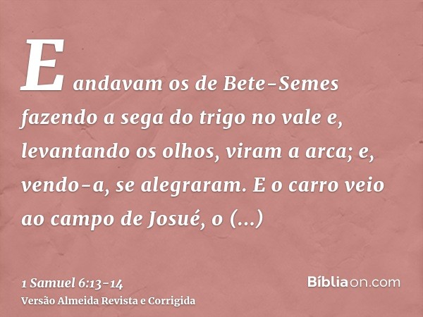 E andavam os de Bete-Semes fazendo a sega do trigo no vale e, levantando os olhos, viram a arca; e, vendo-a, se alegraram.E o carro veio ao campo de Josué, o be