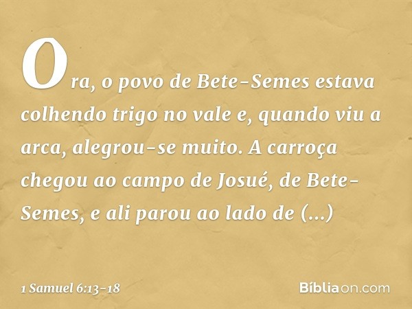 Ora, o povo de Bete-Semes estava colhendo trigo no vale e, quando viu a arca, alegrou-se muito. A carroça chegou ao campo de Josué, de Bete-Semes, e ali parou a