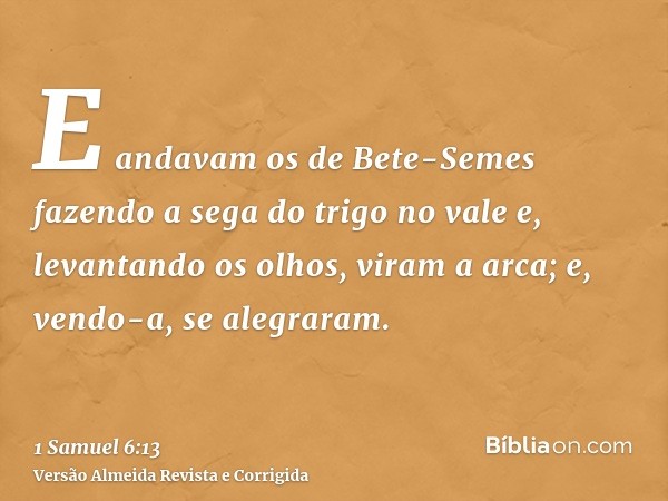 E andavam os de Bete-Semes fazendo a sega do trigo no vale e, levantando os olhos, viram a arca; e, vendo-a, se alegraram.