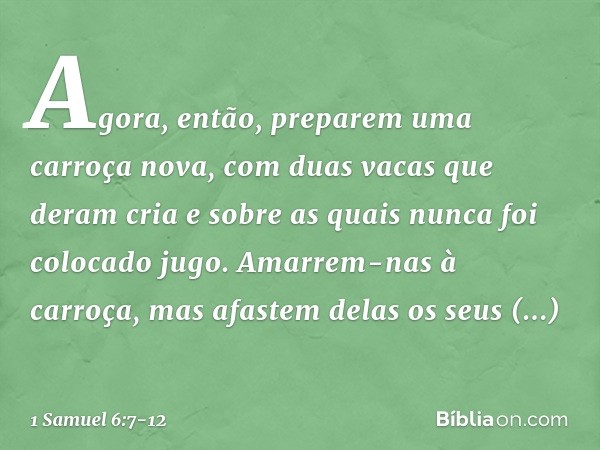 "Agora, então, preparem uma carroça nova, com duas vacas que deram cria e sobre as quais nunca foi colocado jugo. Amarrem-nas à carroça, mas afastem delas os se