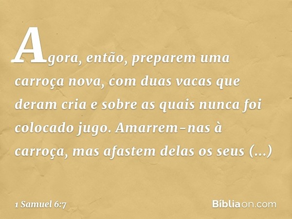 "Agora, então, preparem uma carroça nova, com duas vacas que deram cria e sobre as quais nunca foi colocado jugo. Amarrem-nas à carroça, mas afastem delas os se