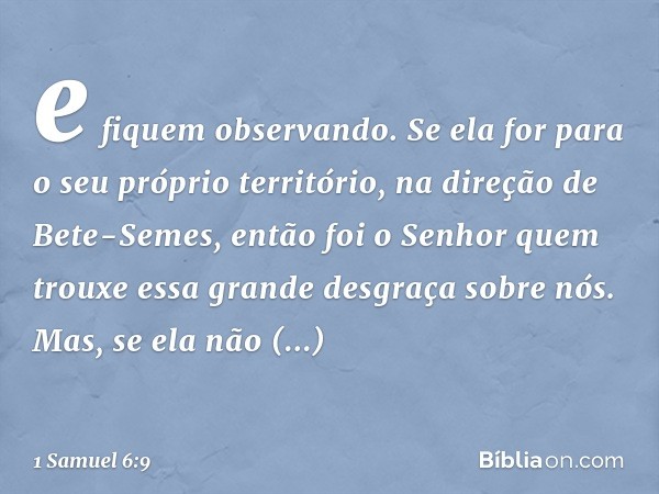 e fiquem observando. Se ela for para o seu próprio território, na direção de Bete-Semes, então foi o Senhor quem trouxe essa grande desgraça sobre nós. Mas, se 