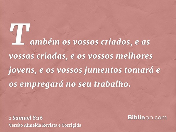 Também os vossos criados, e as vossas criadas, e os vossos melhores jovens, e os vossos jumentos tomará e os empregará no seu trabalho.